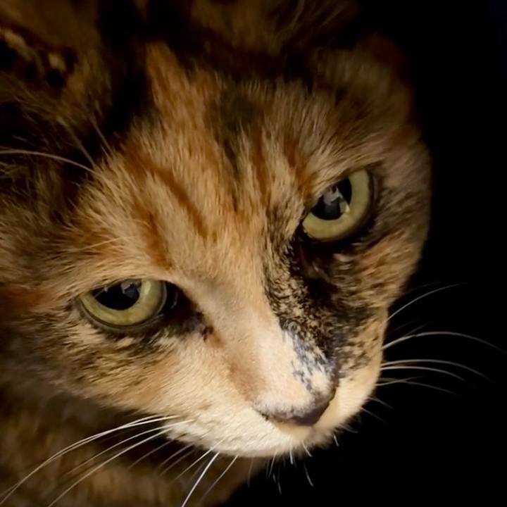 E6e47868 af73 4cf7 89b5 6274ed342ab2 1769172842179