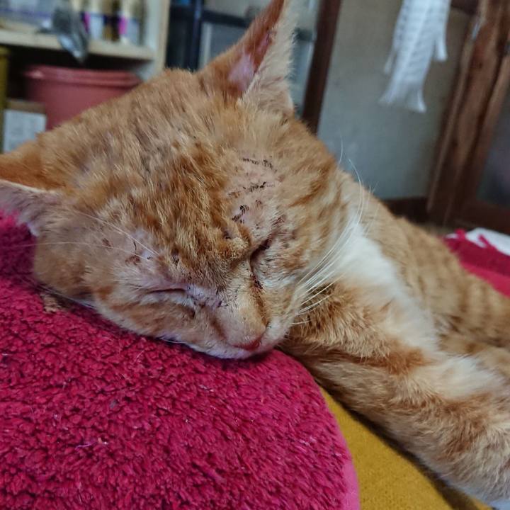 E6e4cb67 def3 4408 a187 3f797f219536 1582577954294