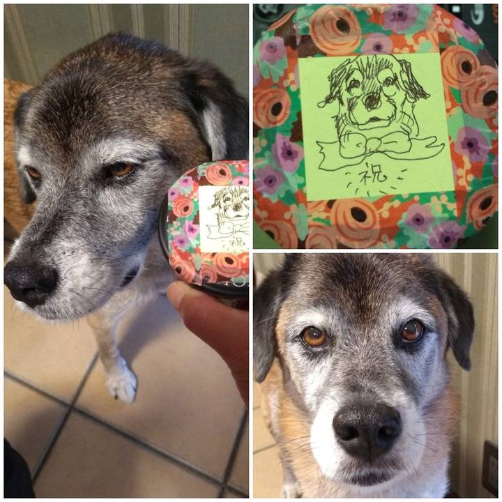 E6e4f24b 552a 425b 9462 071df7f66974 1572481978823