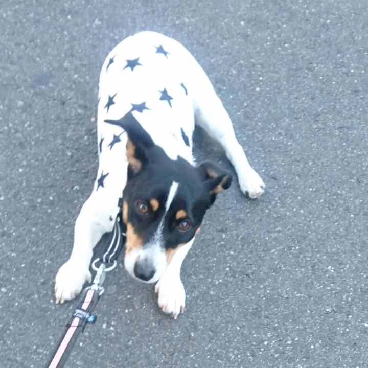 E6e4fab3 5125 4a7e bf79 b1313d32c5cb 1545098222903