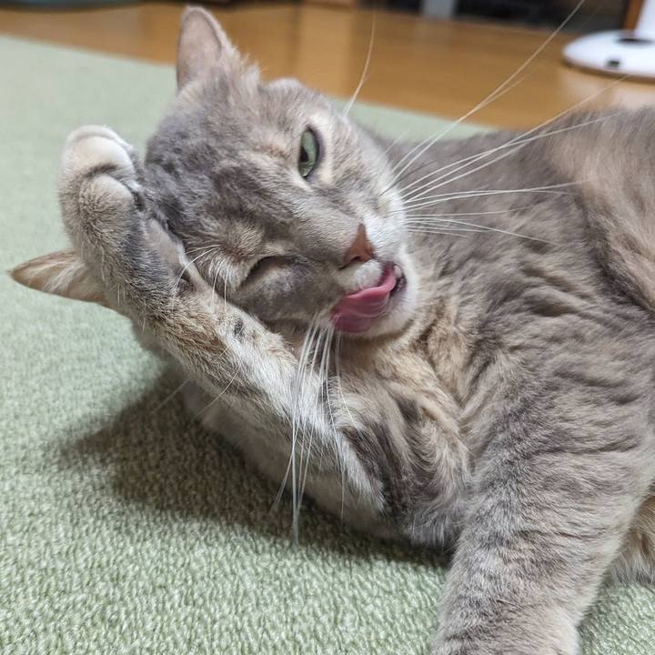 E6e52e44 c03b 4551 b28b 70964406655d 1712633104243