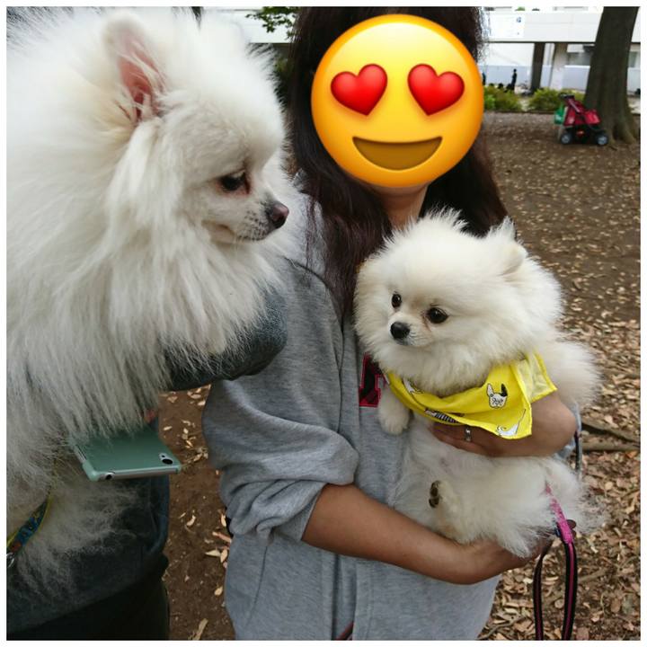 E6e56568 425c 4802 9a37 aa7b511d6fe0 1509228797074