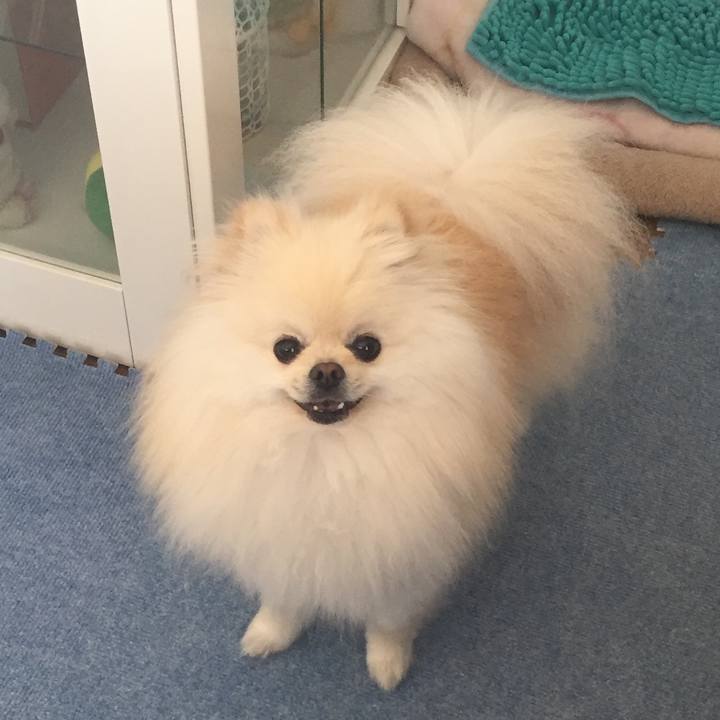 E6e56778 c336 4f20 995b 7fb263ccfbe3 1527219512278