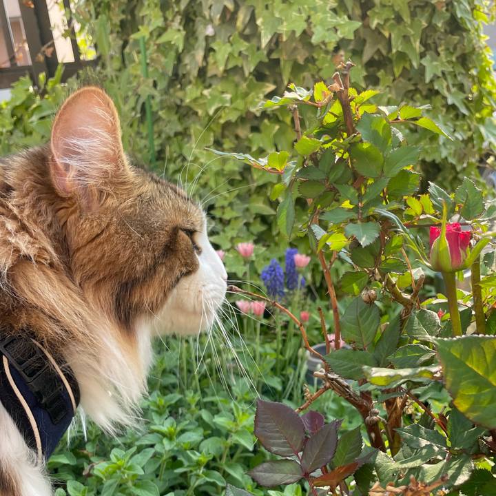 E6e574ad 0fbf 43da 9620 6d27810b8ecf 1653123262025