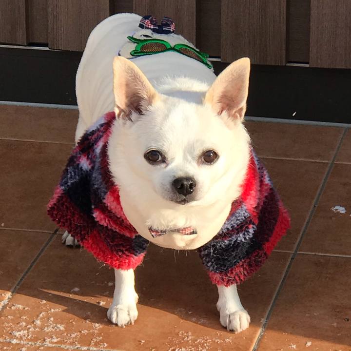 E6e5a231 7ef8 4f31 976b 75d1301aab50 1580474252794