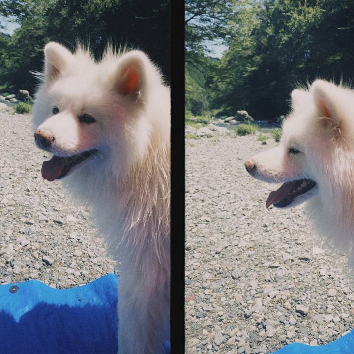 E6e5f762 38a2 48c1 968f 3a9ca0245163 1597464742978