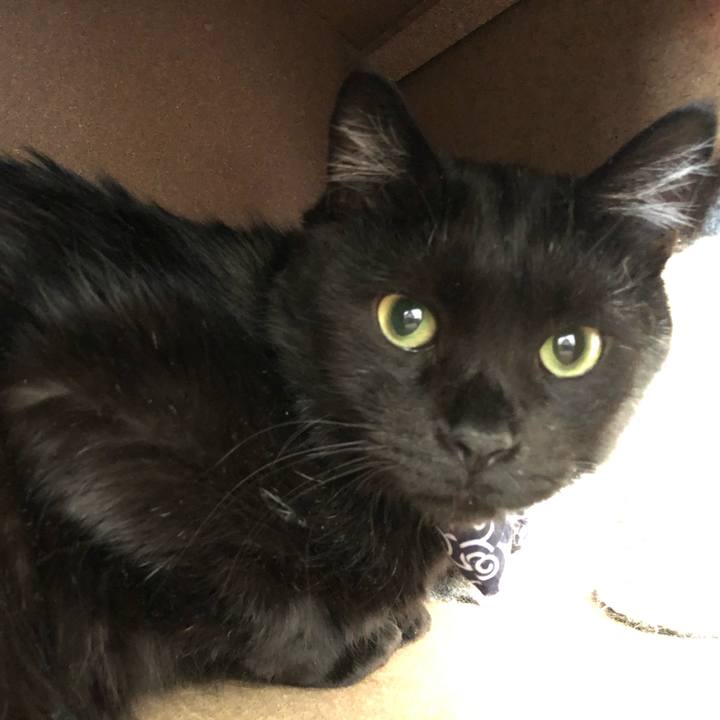 E6e65bcc e4dd 40f3 a8e2 543e280ad6ef 1557633666490