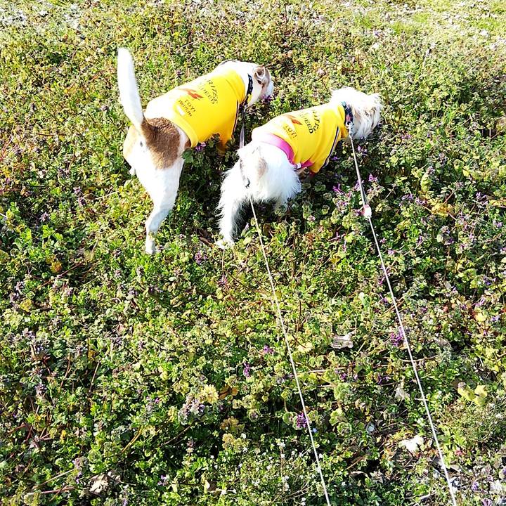 E6e66c42 be4b 41de 840d 395ac7420992 1551533199680