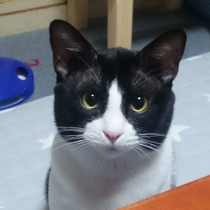 E6e68c5c 5a11 4f58 ad9c c26d3666984e 1575374770541