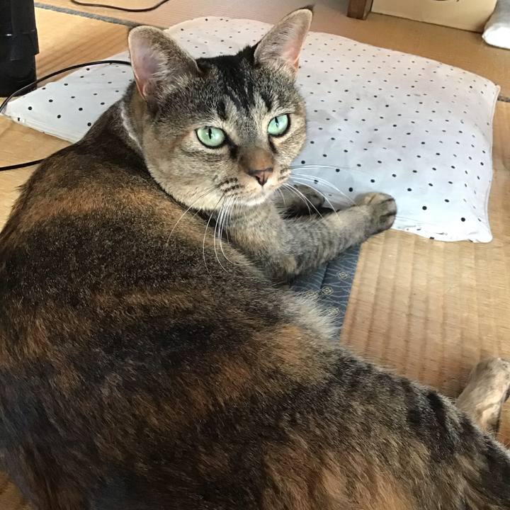 E6e690d1 2e61 470b 8acf 60d23f3a117c 1663025267415