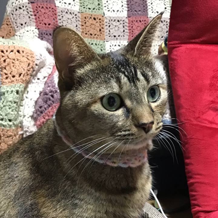 E6e69275 aab3 45e0 9689 378b61131cae 1699880130273