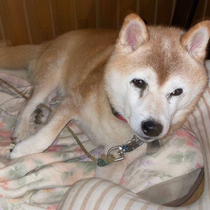 E6e6a040 e3e4 421e 883a 9b28a3568398 1726998725707