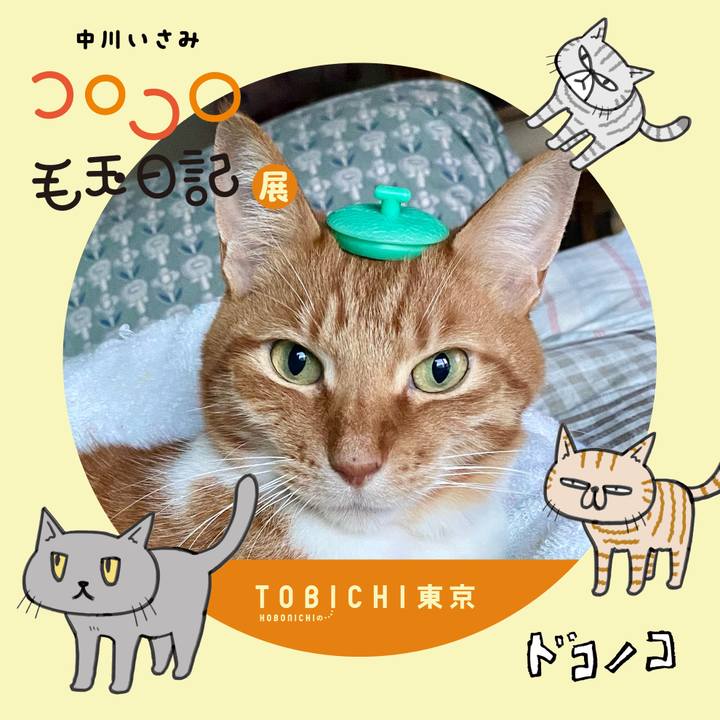 E6e6bab7 7145 4f72 9ae7 103c4dd4d2f6 1740232057171