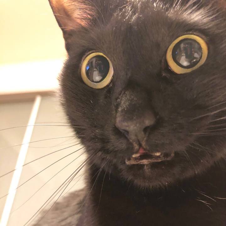 E6e6f83b 9c19 44bd b007 4f41367e846c 1584195660310