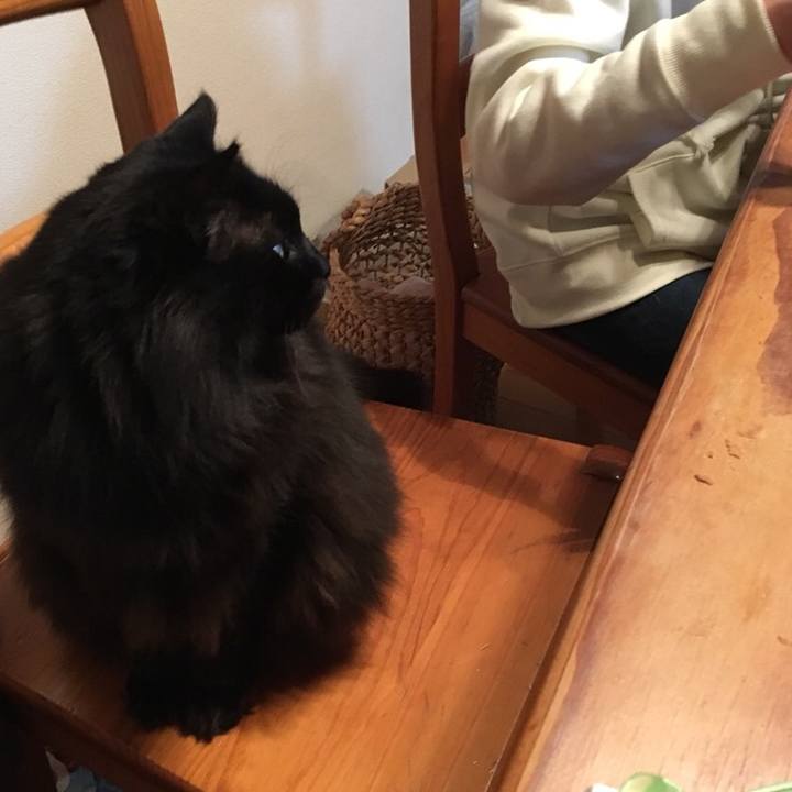 E6e78063 ec7e 4f8e b645 7ab2df2a0abf 1547772107088