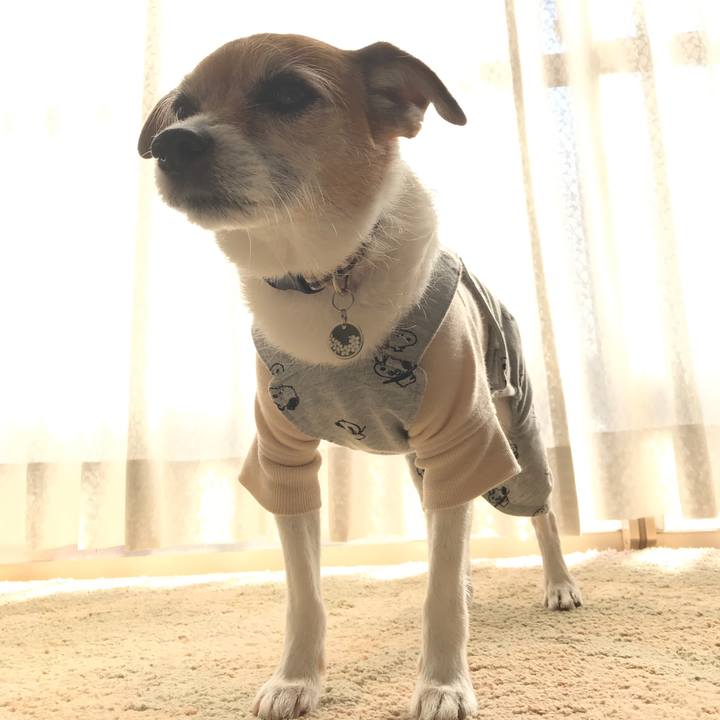 E6e7872e ab08 4a0d 8342 c8bf42ff0df1 1585040407449