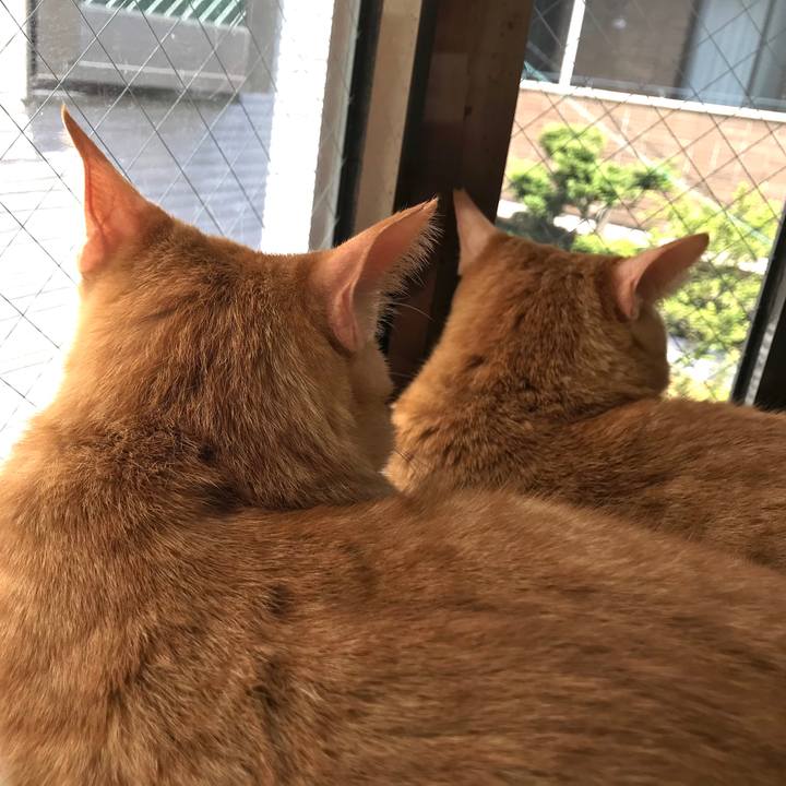 E6e7debf 590b 496b 8f14 c59b32892c3d 1587386810494