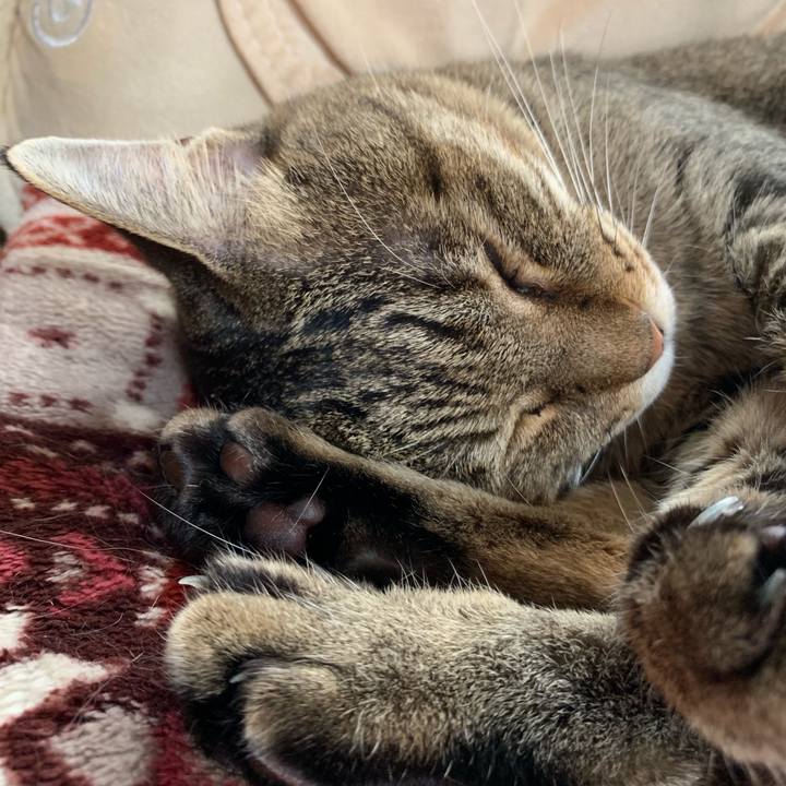 E6e7ec58 293b 4919 896d d0a4b43a7239 1562389482486