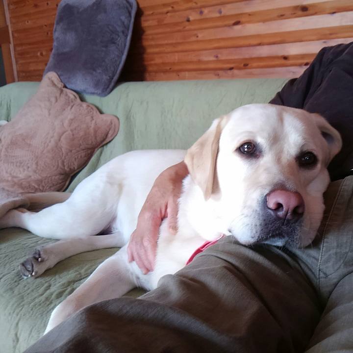 E6e7f5e7 a86c 4893 b936 18938ad94ecd 1513481903938