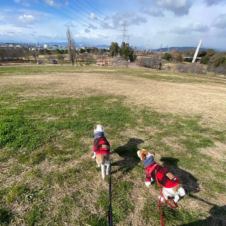 E6e80d4e 9bee 4daa a348 a81b34dbb6e0 1640930121964