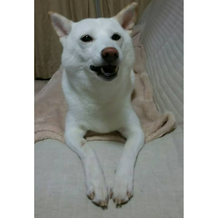 E6e8167d 7f2d 4648 b8a8 077c81459285 1536324053668