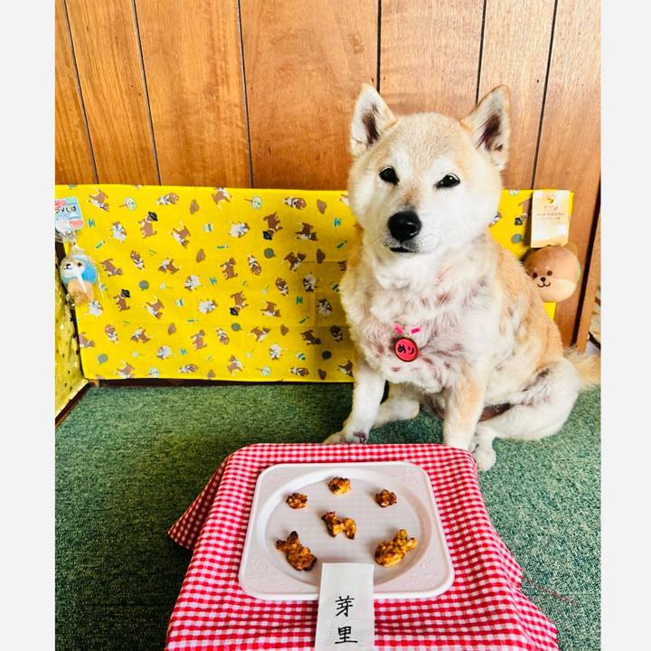 E6e8178d 5b97 4110 ac5a ca39ca1a58d1 1747096749642