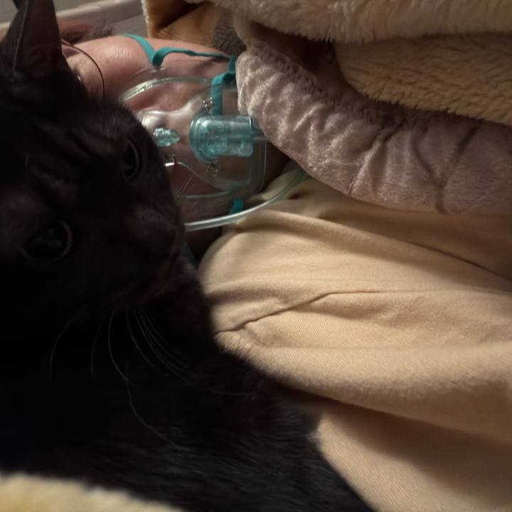 E6e82cab c5a7 4fa3 a785 371d41e0a011 1768674766481