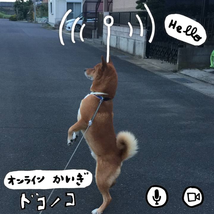 E6e83494 77d9 42cb 954c e2b7cbd36f27 1590730387001