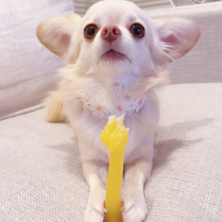 E6e8a115 9e87 4887 af28 ecf0beb94b90 1699451430465