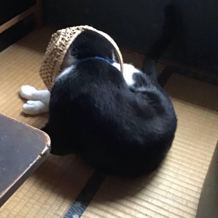 E6e8abc4 8552 4f56 8da7 fb0c21d357ec 1714448653903