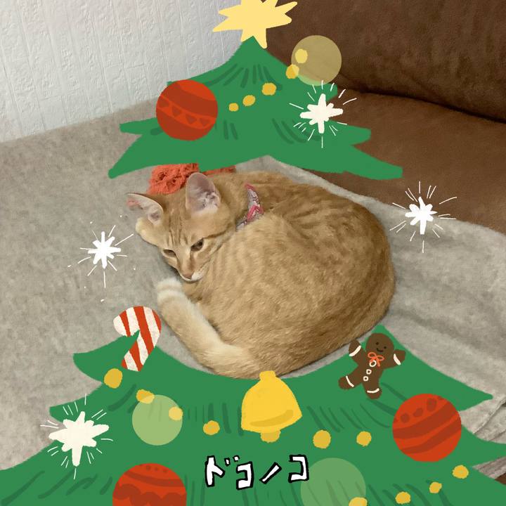 E6e8b749 e235 4611 9af0 ad1e0bc27e49 1761114673476