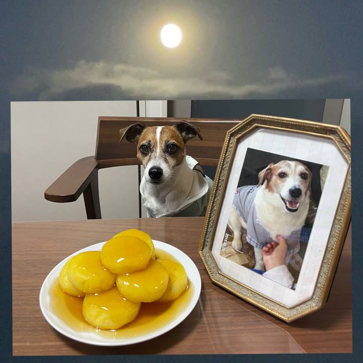 E6e8bea6 2635 458c 9311 497cfc8c2c37 1759745011620