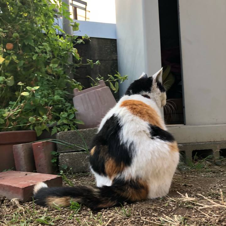 E6e8cd31 eaf9 4ff8 9857 4d359e475e1b 1606042503127