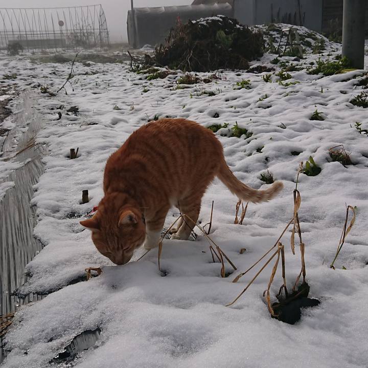 E6e8cd74 272f 4028 81d8 2f9c87fa24cd 1575166343553