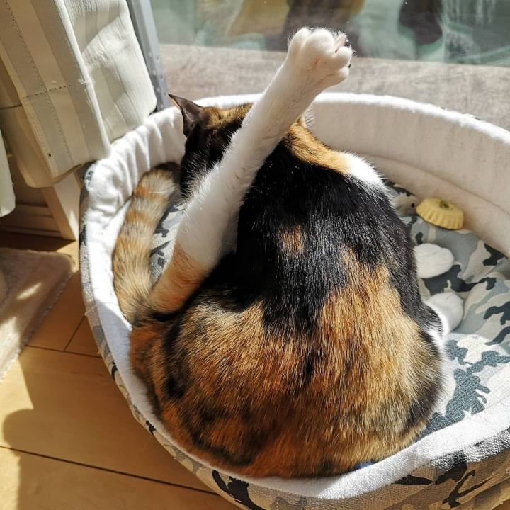 E6e8f79a d60b 42c9 9a11 2445e322c285 1617026296428