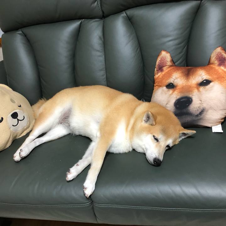 E6e90c19 c5b9 4046 b590 73e693322170 1566219872192