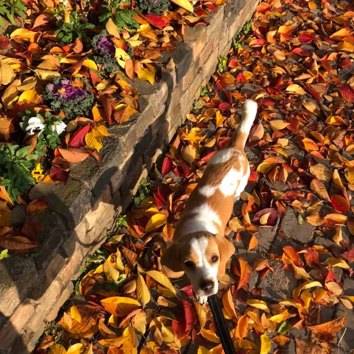 E6e916df 9437 42f5 9908 a68a0ec0bbd9 1543452730382