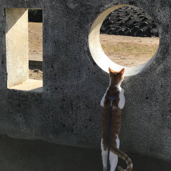 E6e93e18 c034 47ed ac97 1b26ba2797d0 1511755672870