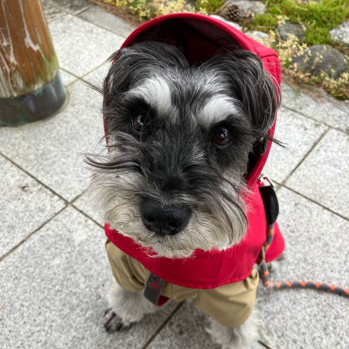 E6e95e14 51d2 4d76 bda5 8cd9e0043746 1746493818657