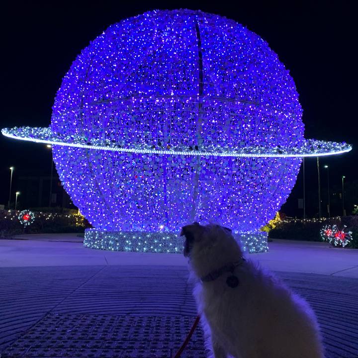 E6e97270 b603 4c78 a0b2 61443fa8d2fd 1640296311384