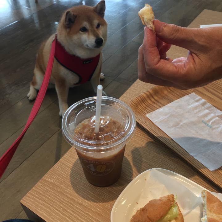 E6e97b8e 7718 4231 8b62 0c9c4801d06d 1595921284026