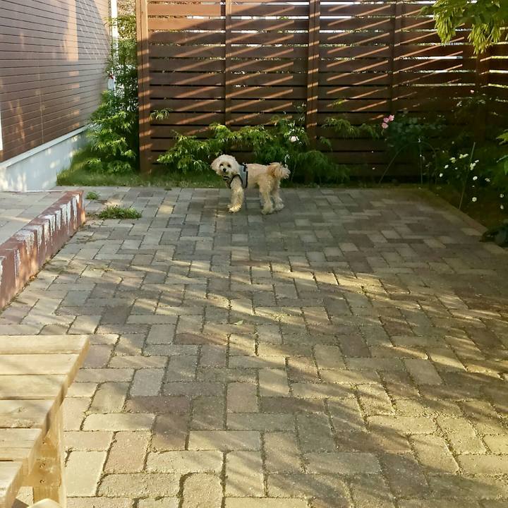 E6e99d30 ff73 4188 ba2c bf7f2eb57c10 1510448372935