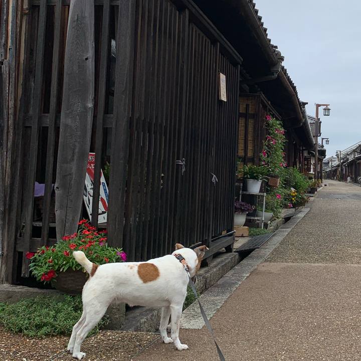 E6e9c082 dc90 4d72 ab22 5538f465b432 1602374746142