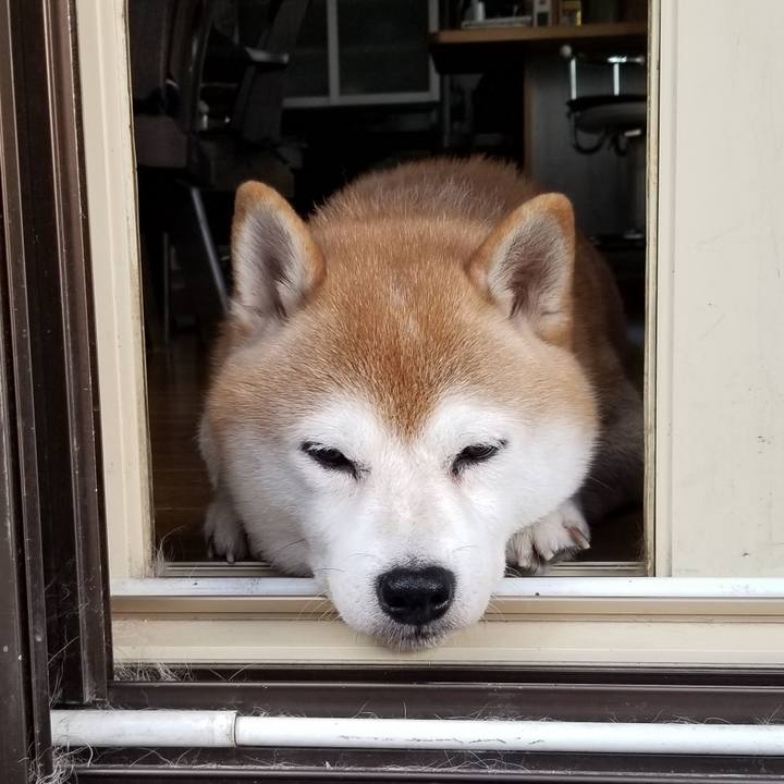 E6e9e1c2 0439 4ffd b1c8 9ac989e86a77 1630049209976