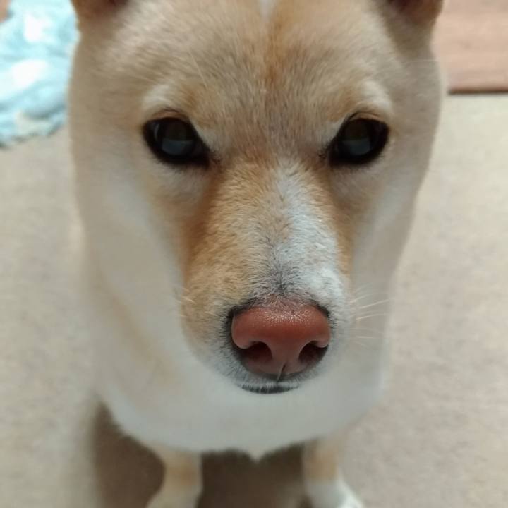 E6e9f212 588a 4f03 8c9b eb5118acf4da 1531395367598