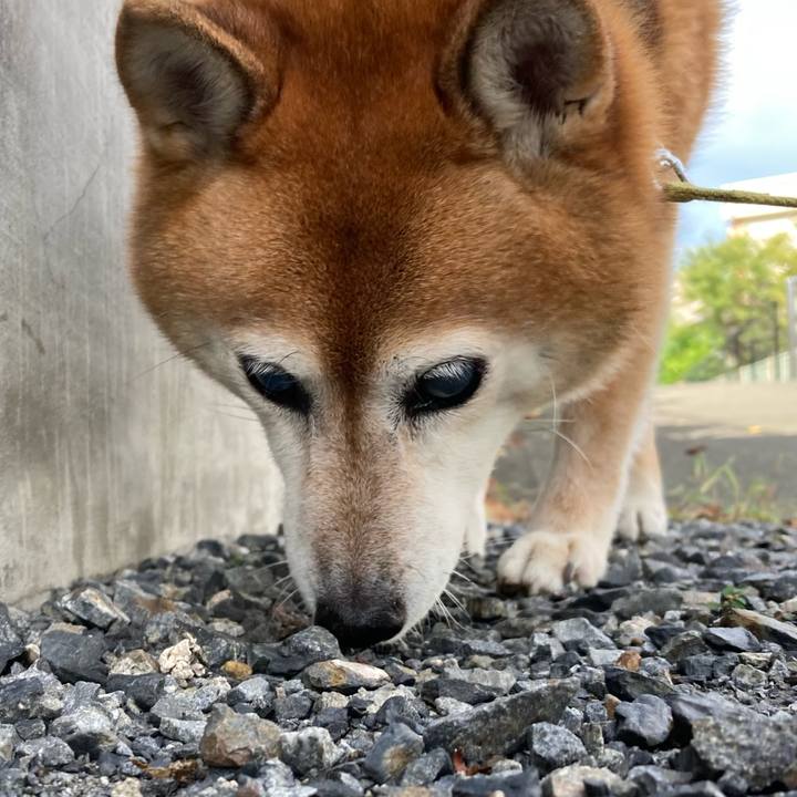 E6ea05b5 ea04 4985 affb 22040fdb8c8a 1695795613181