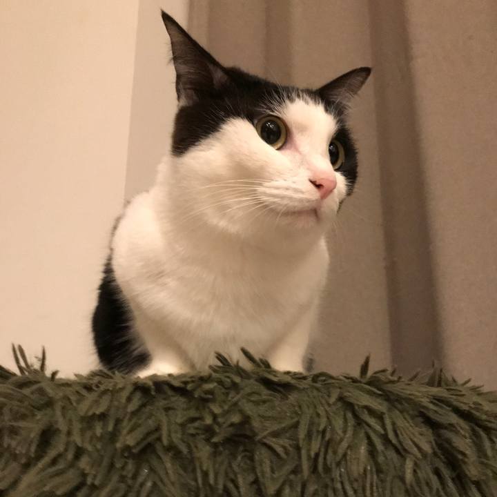 E6ea282f 6e58 4204 952e f1611b6445da 1523190819529