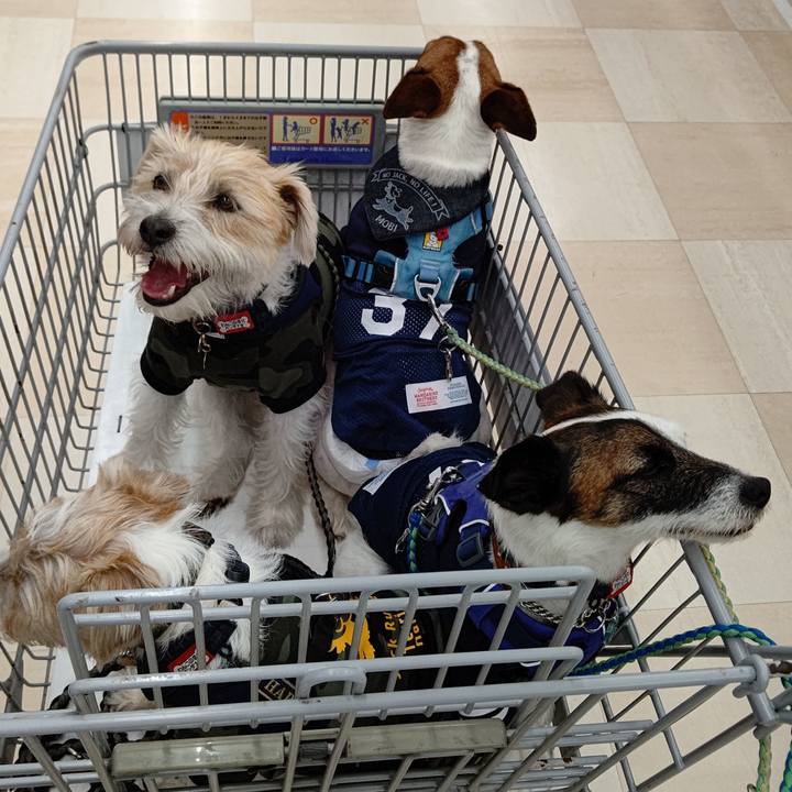 E6ea28e4 0aef 47c0 85f2 8e68b8f6e7c8 1622191851489