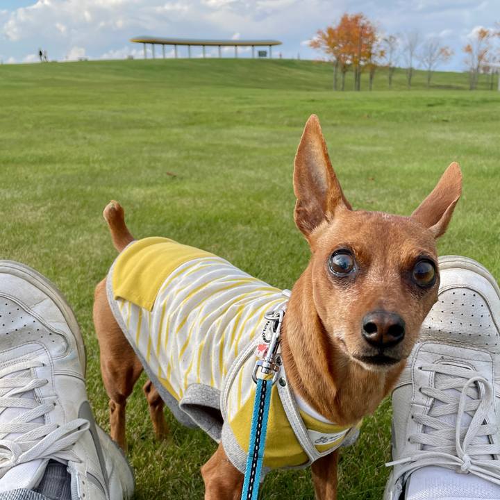 E6ea57ae f532 4cf2 bb33 3e03f71721cd 1665814587723