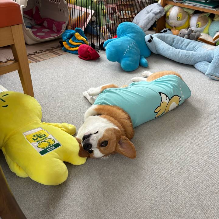 E6eb1987 28fd 4954 bd91 64137d6a9d02 1759461365533